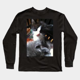 Cute Black and White Kitten Long Sleeve T-Shirt